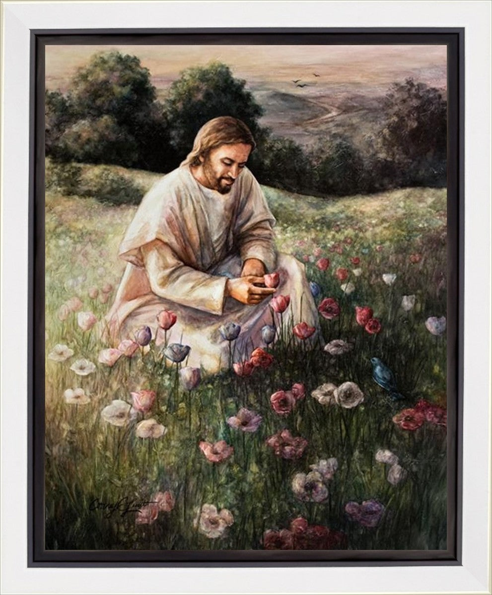 Lilies Of The Field