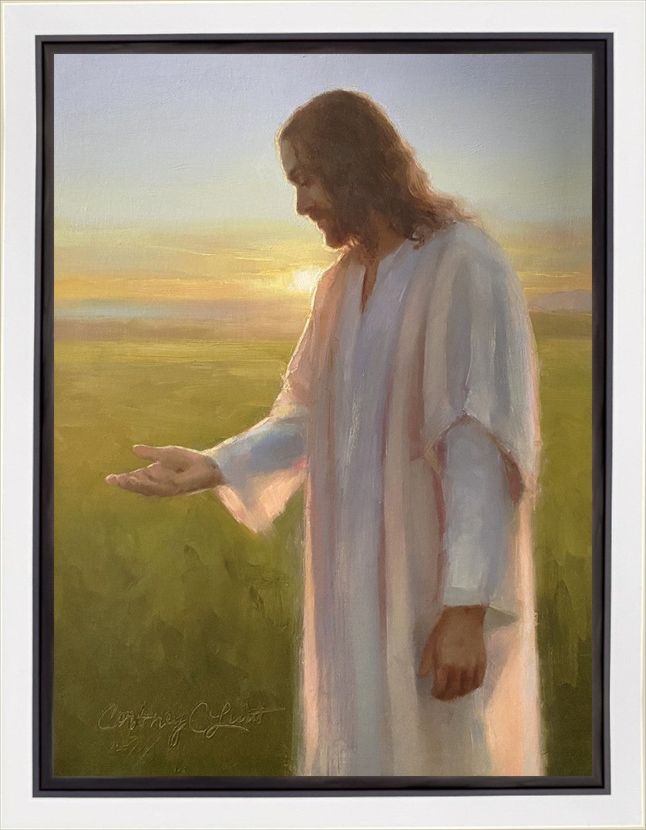 Light of The Son