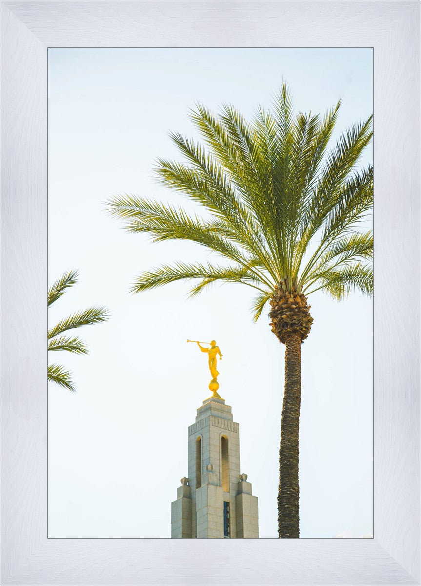 Hosanna!