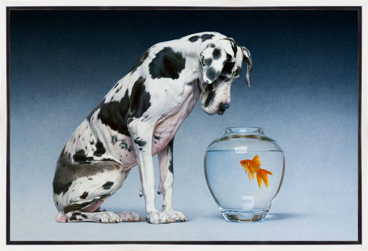 Dane and Fish