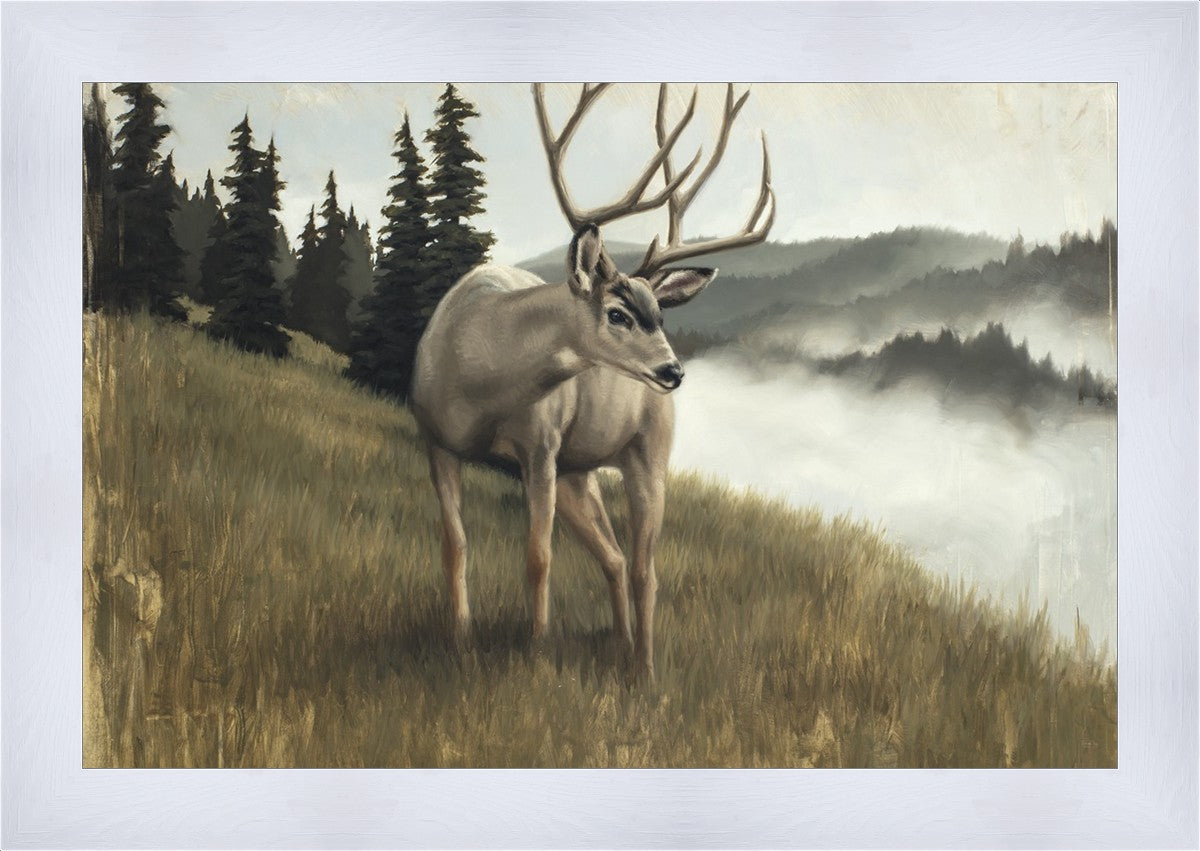 Nature's Silence