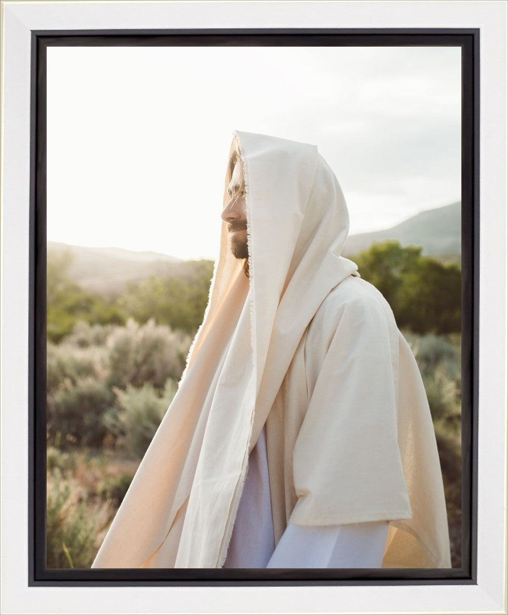 My Redeemer
