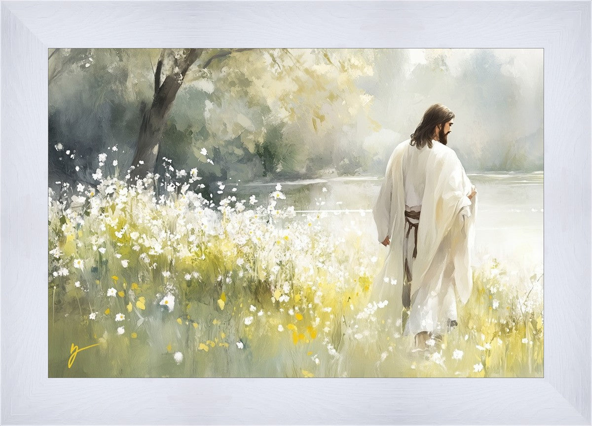 Life Anew