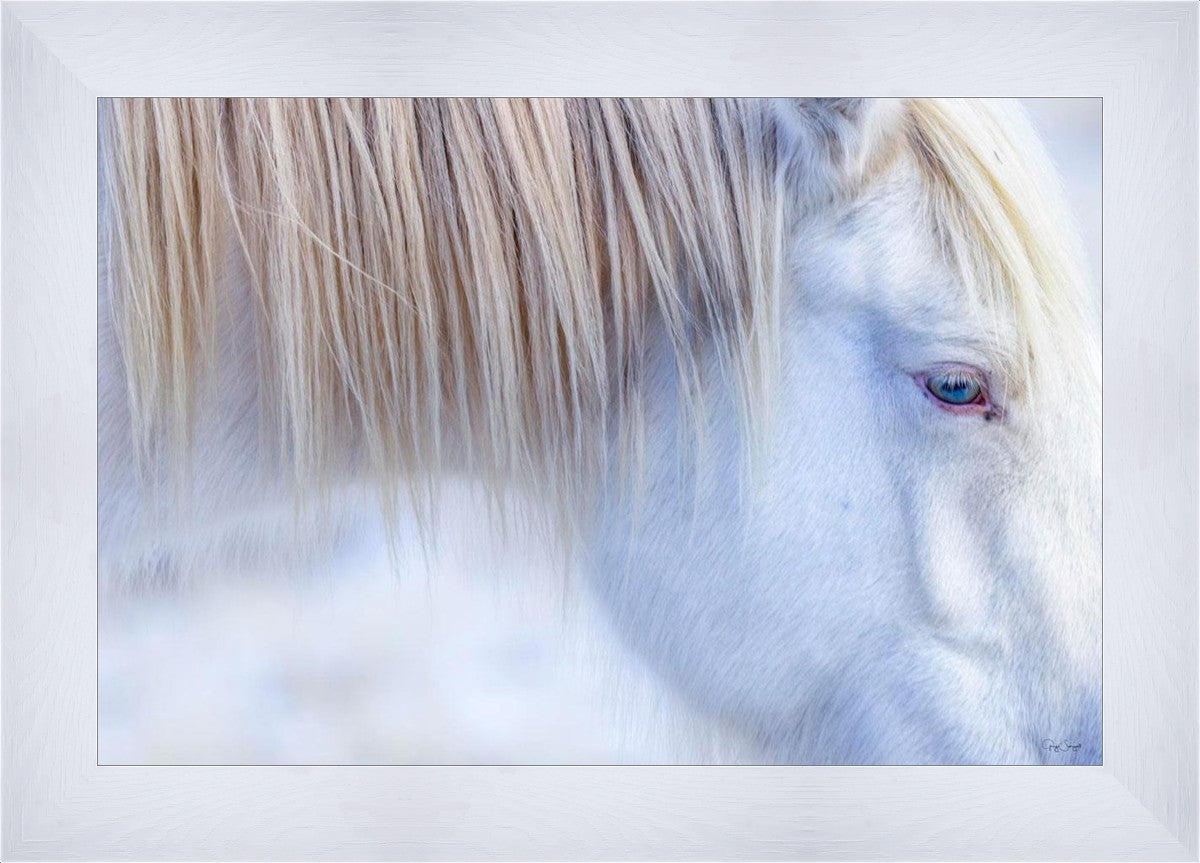 White Gypsy
