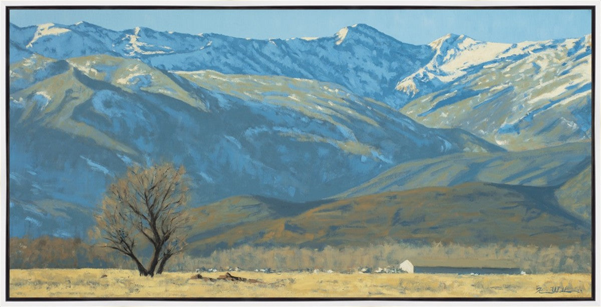 Midway Vista