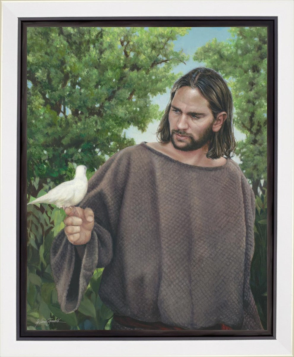 The Creator