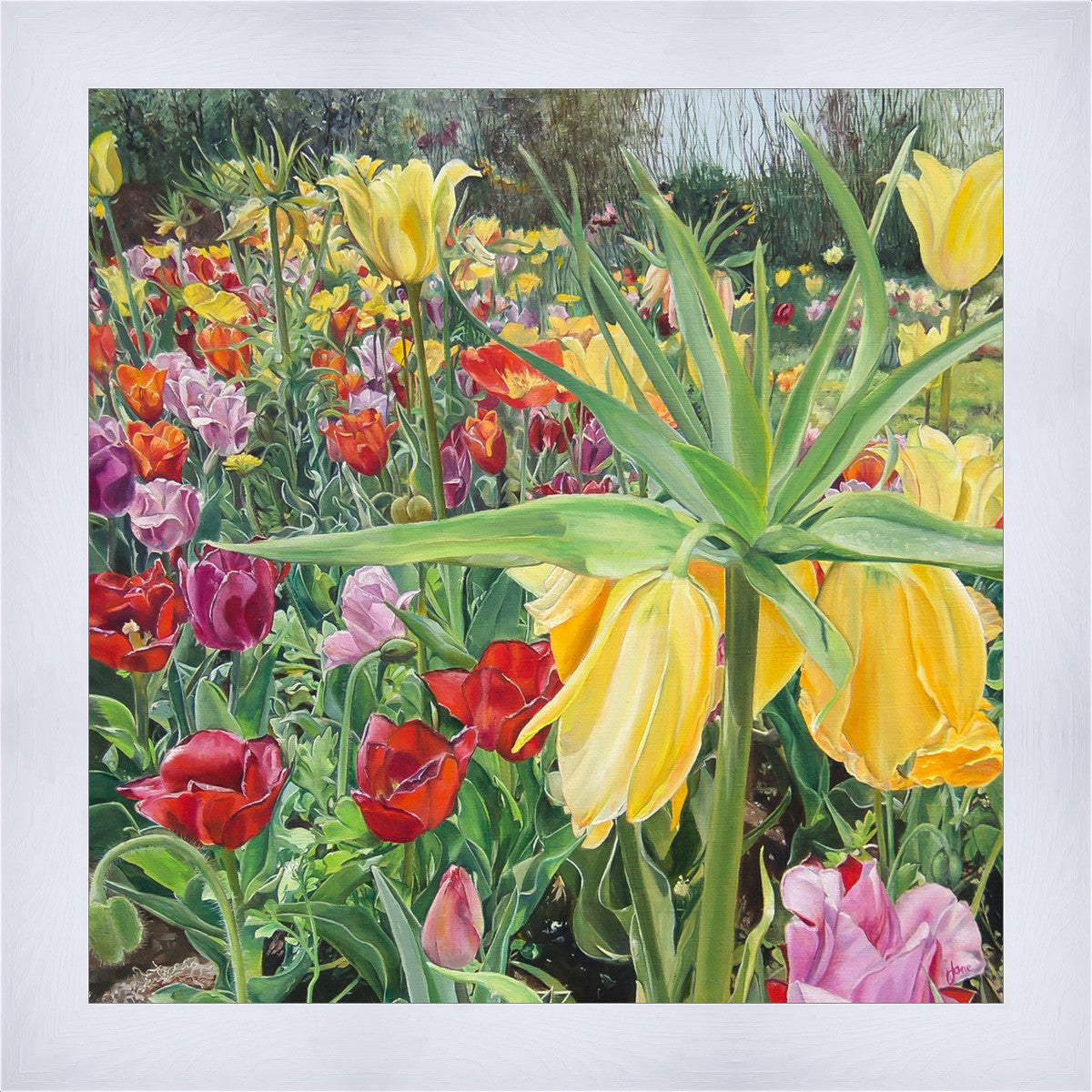 Carousel Tulips
