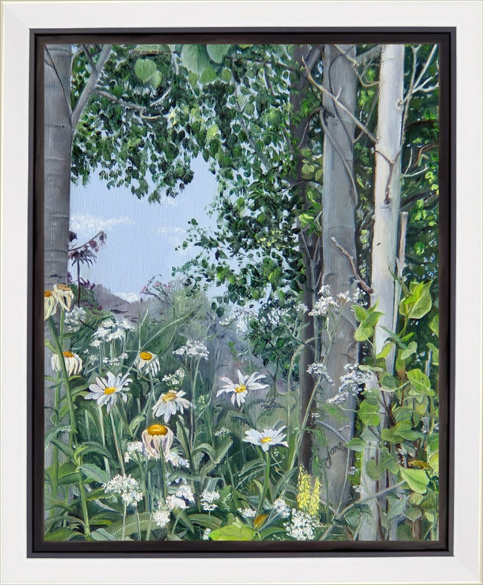 Quakies and Daisies