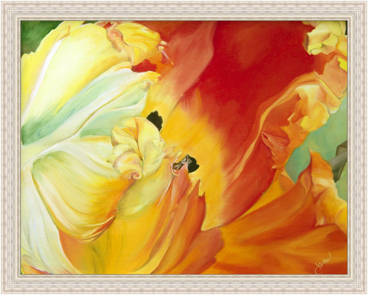A Tulip for Fiona