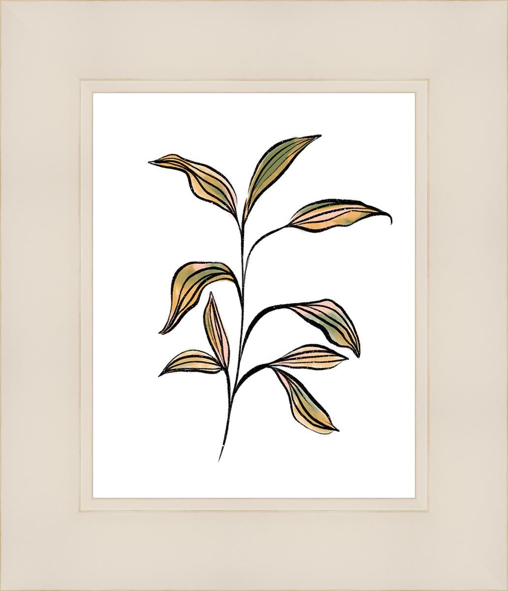 Seedling