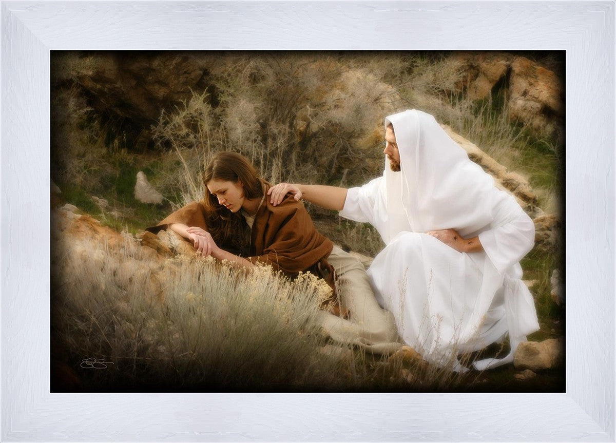 The Comforter