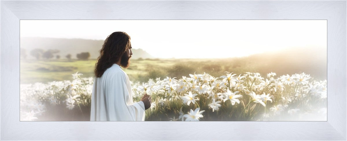 Consider The Lilies