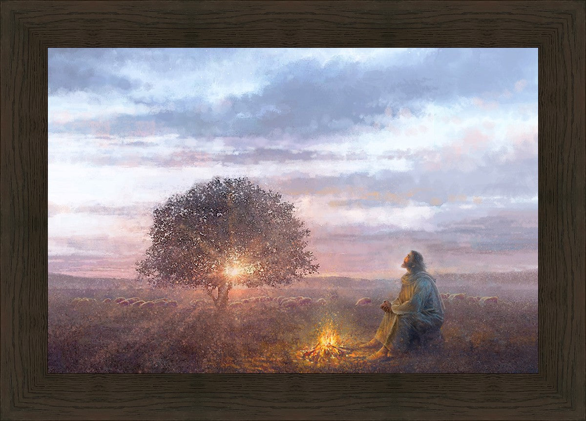 The Light of Life