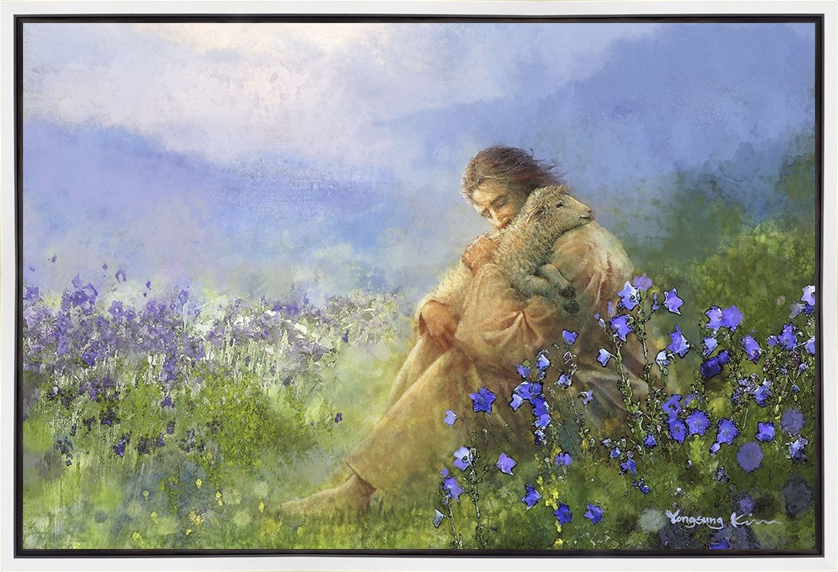 Comforter
