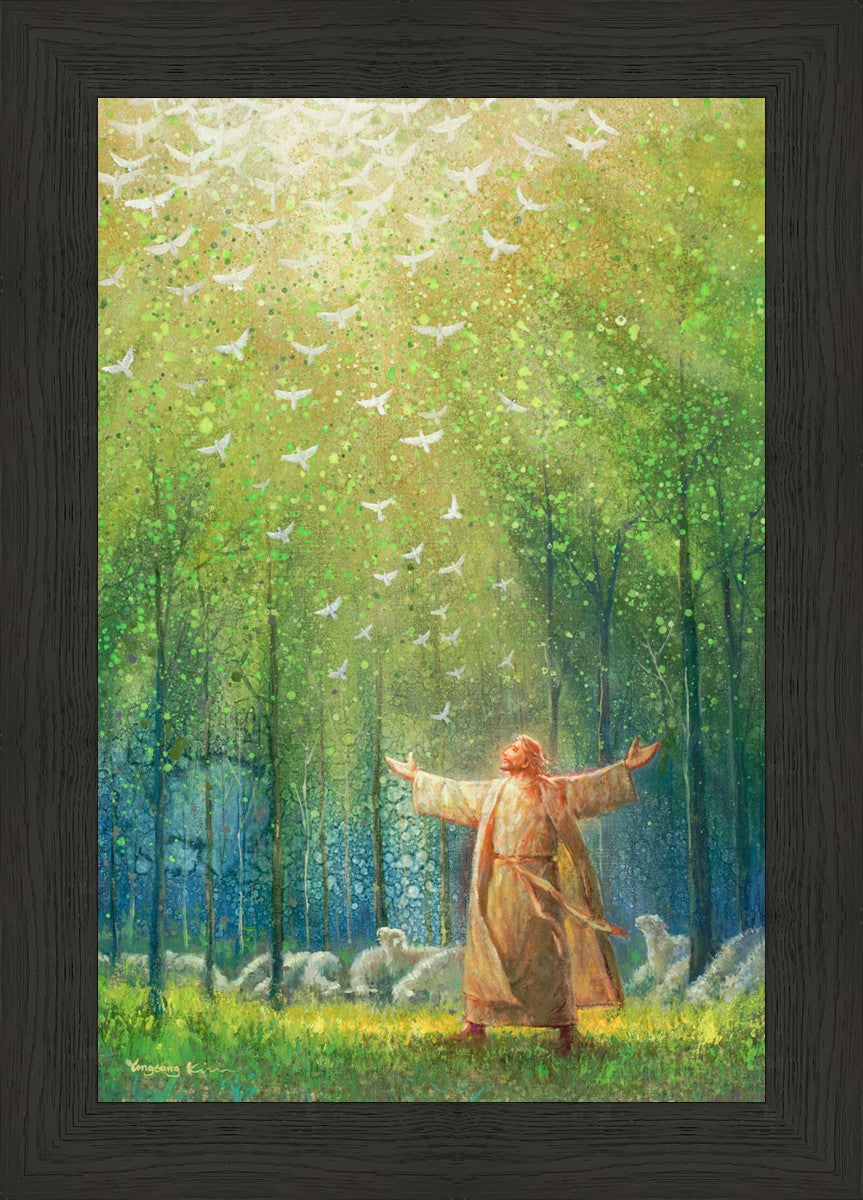 A New Light Shining