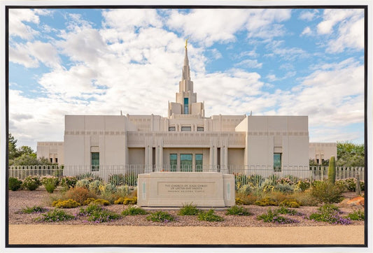 Phoenix Temple Desert Oasis