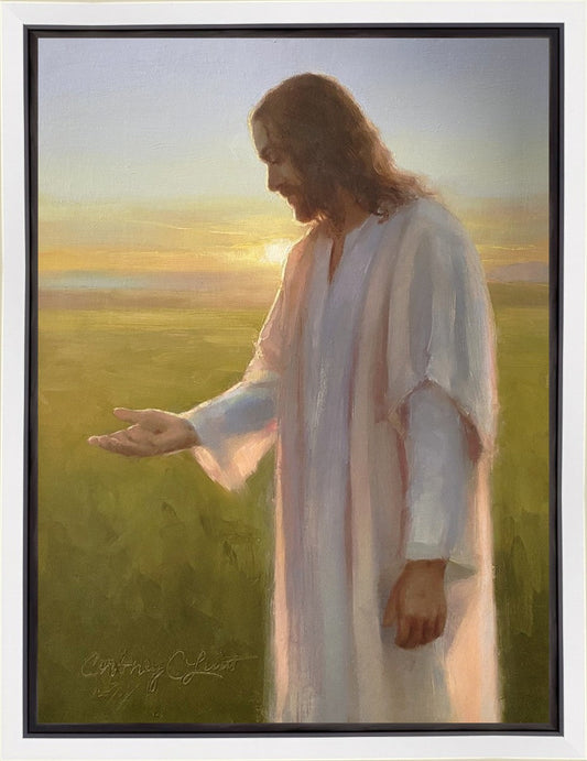 Light of The Son