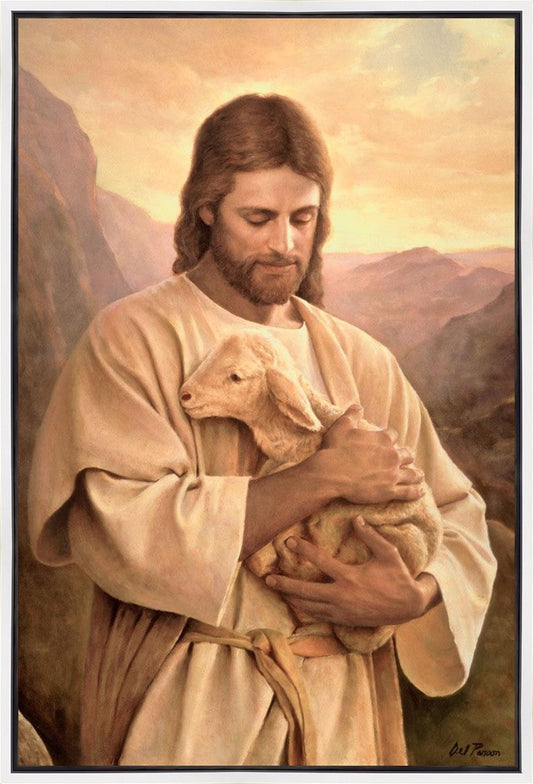 Lost Lamb