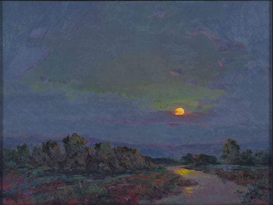 Moonlight Over Snake River Original Artwork