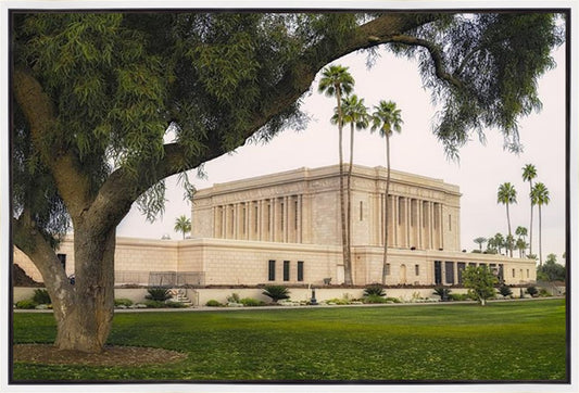 Mesa Temple 09