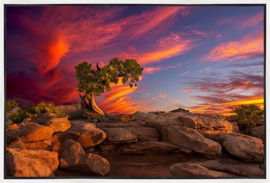Moab Morning