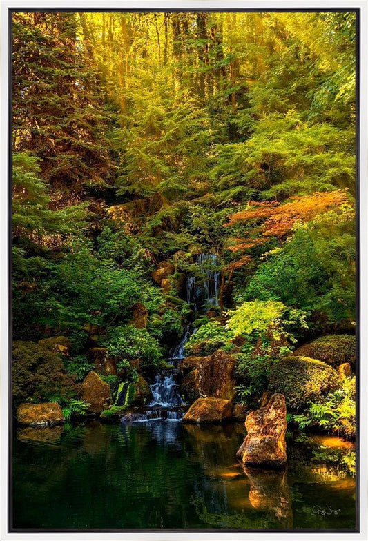 Secluded Pond