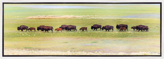 Migration