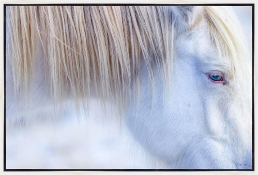 White Gypsy