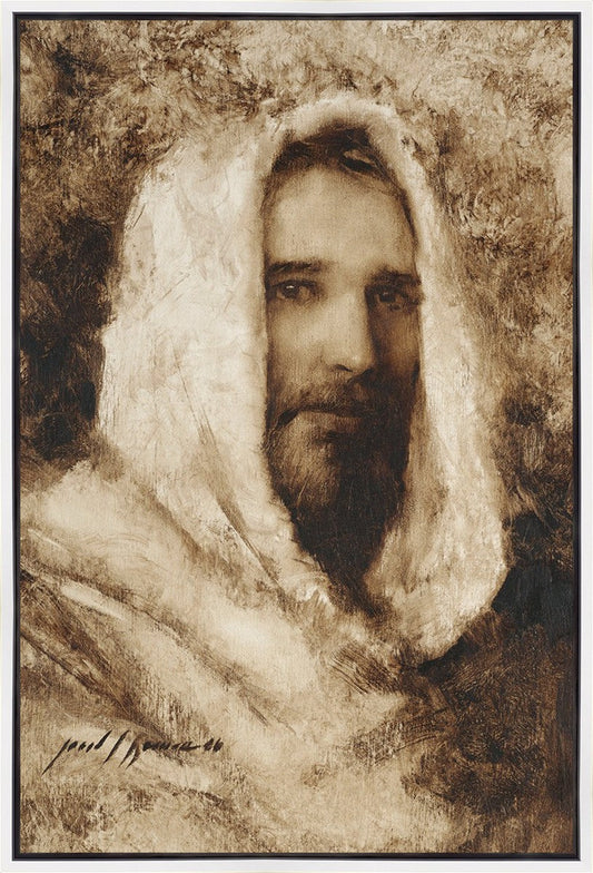 Our Shepherd