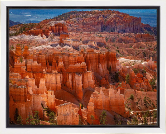 The Hoodoos of Bryce Canyon National Park, Utah