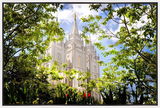 Salt Lake Glimpse of Eternity Gallery Wrap