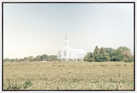 Burley Idaho Immaculate Embrace Blue