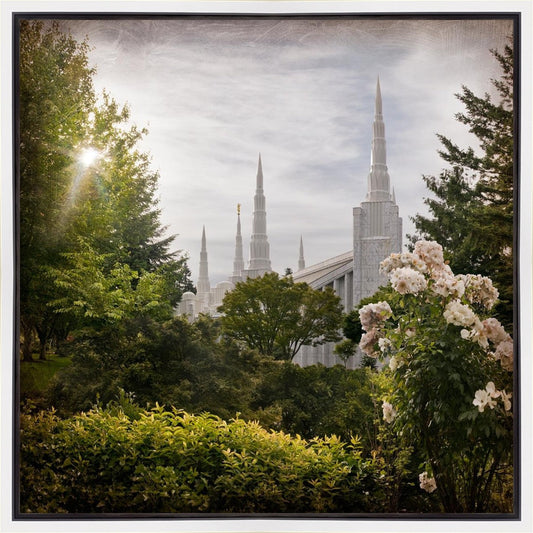 Portland Brightness and Glory