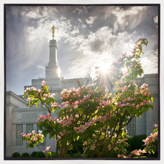 Spokane Brightness and Glory