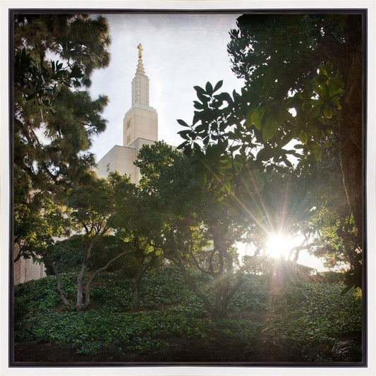 Los Angeles Brightness and Glory