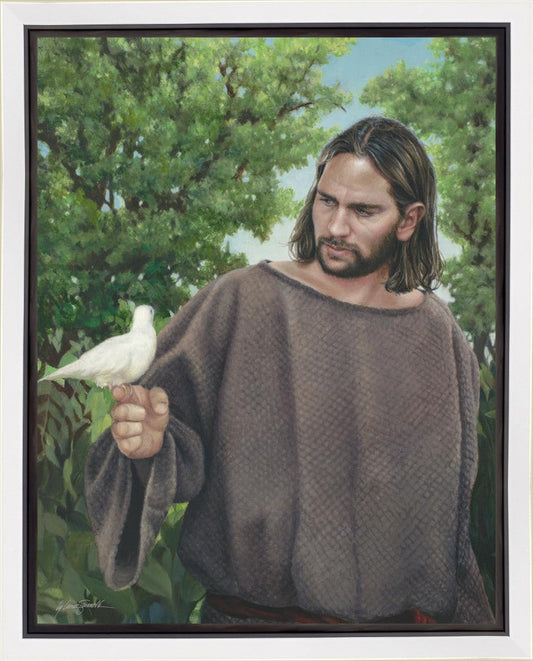 The Creator
