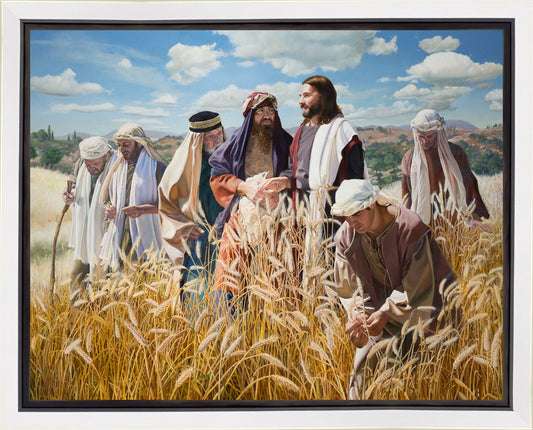 Lord of the Sabbath