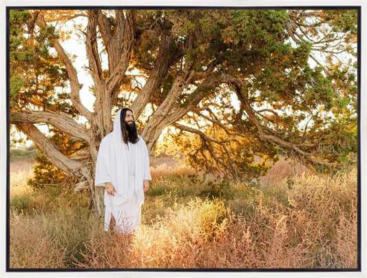 Our Tree of Life