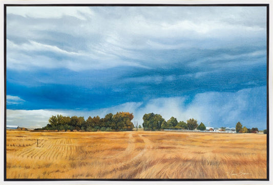 Stormy Skies