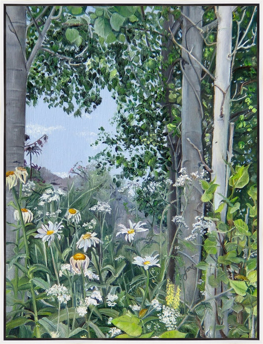 Quakies and Daisies