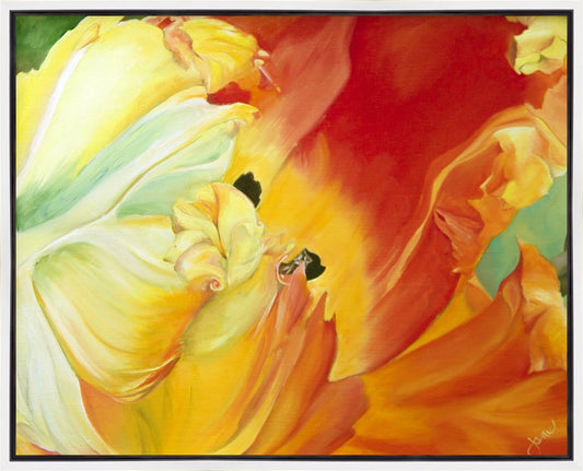 A Tulip for Fiona