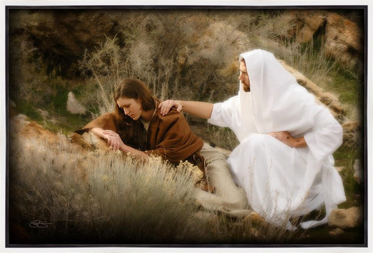 The Comforter