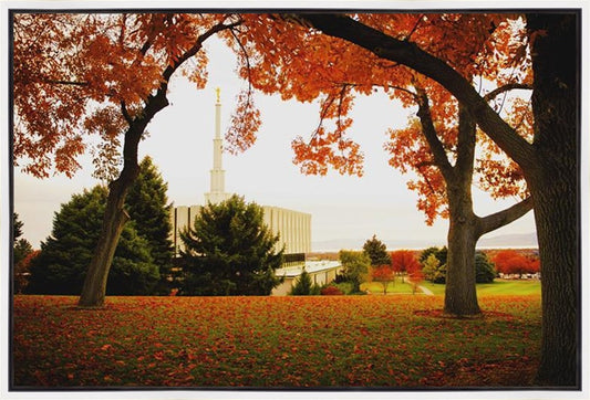 Provo Sanctuary