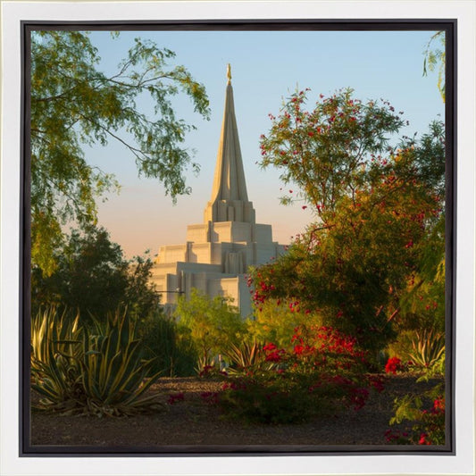 Gilbert Garden
