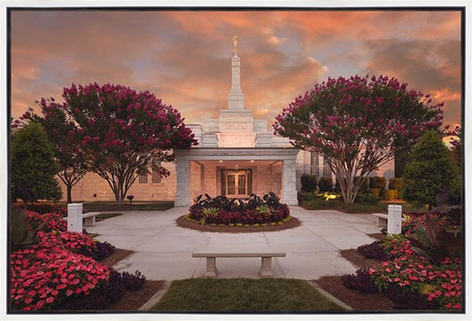 Raleigh Splendor