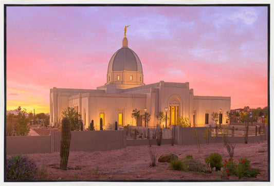 Tucson Desert Sunset