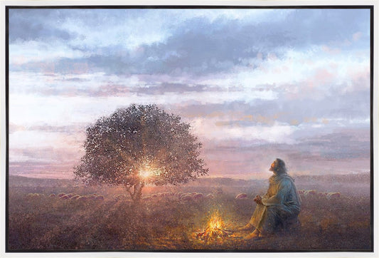The Light of Life