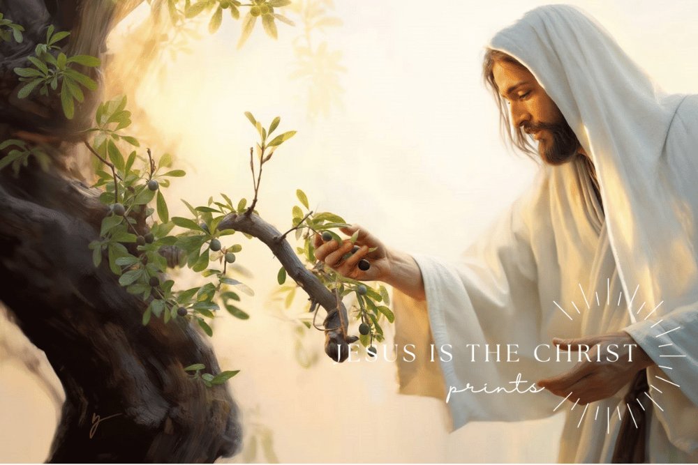 Dawn of the Harvest - Jesus is the Christ Prints