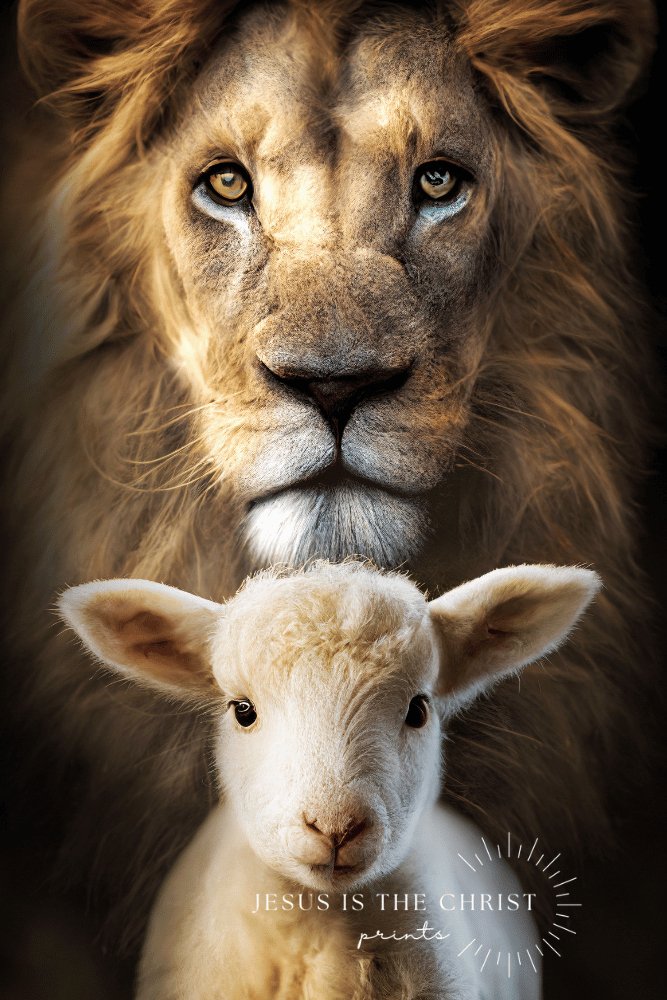 The Lion and the Lamb - Jesus is the Christ Prints