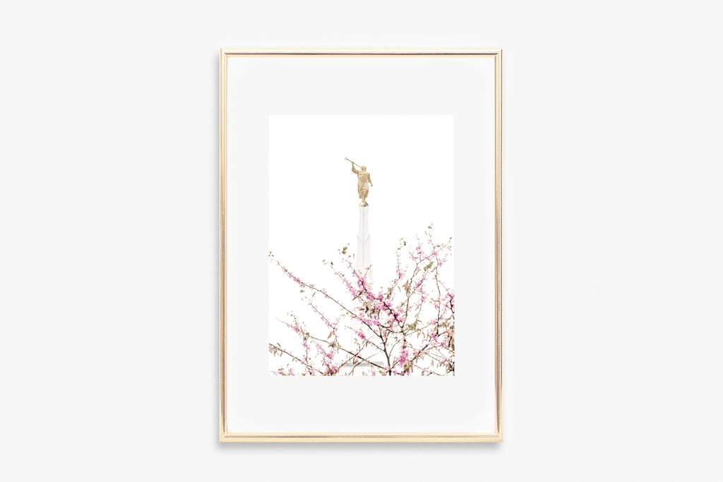 Dallas Temple Spire In Blossoms - Jesus is the Christ Prints
